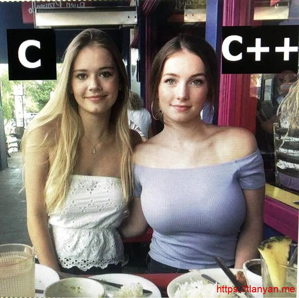 C vs C++