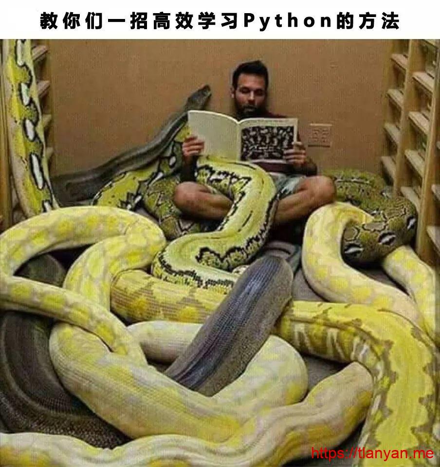 高效学习python的方法