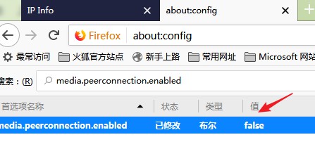 检查你的浏览器是否暴露了 IP-拒绝WebRTC泄漏漏洞