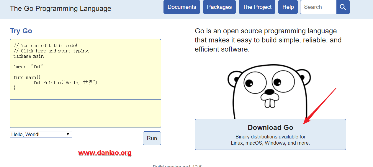宝塔面板Linux环境-安装Golang:Go语言环境安装以及程序如何运行
