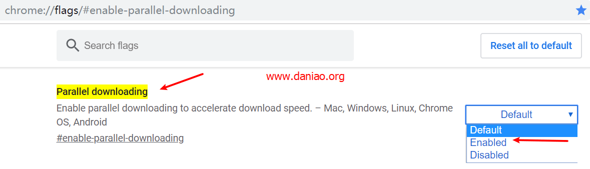 Google Chrome浏览器开启Parallel downloading(多线程下载)